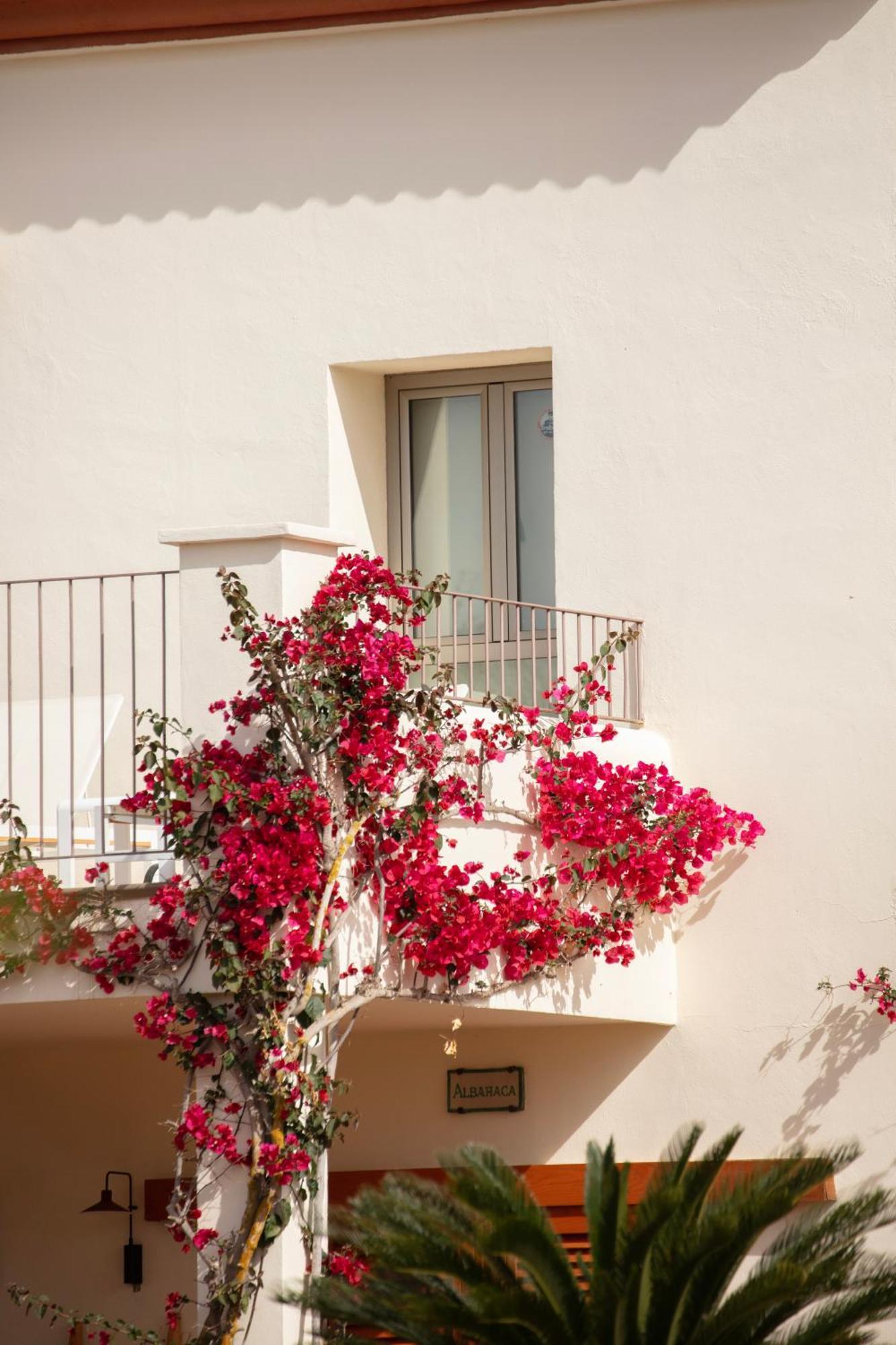 Can Jaume By Ocean Drive Puig D'en Valls Exterior foto