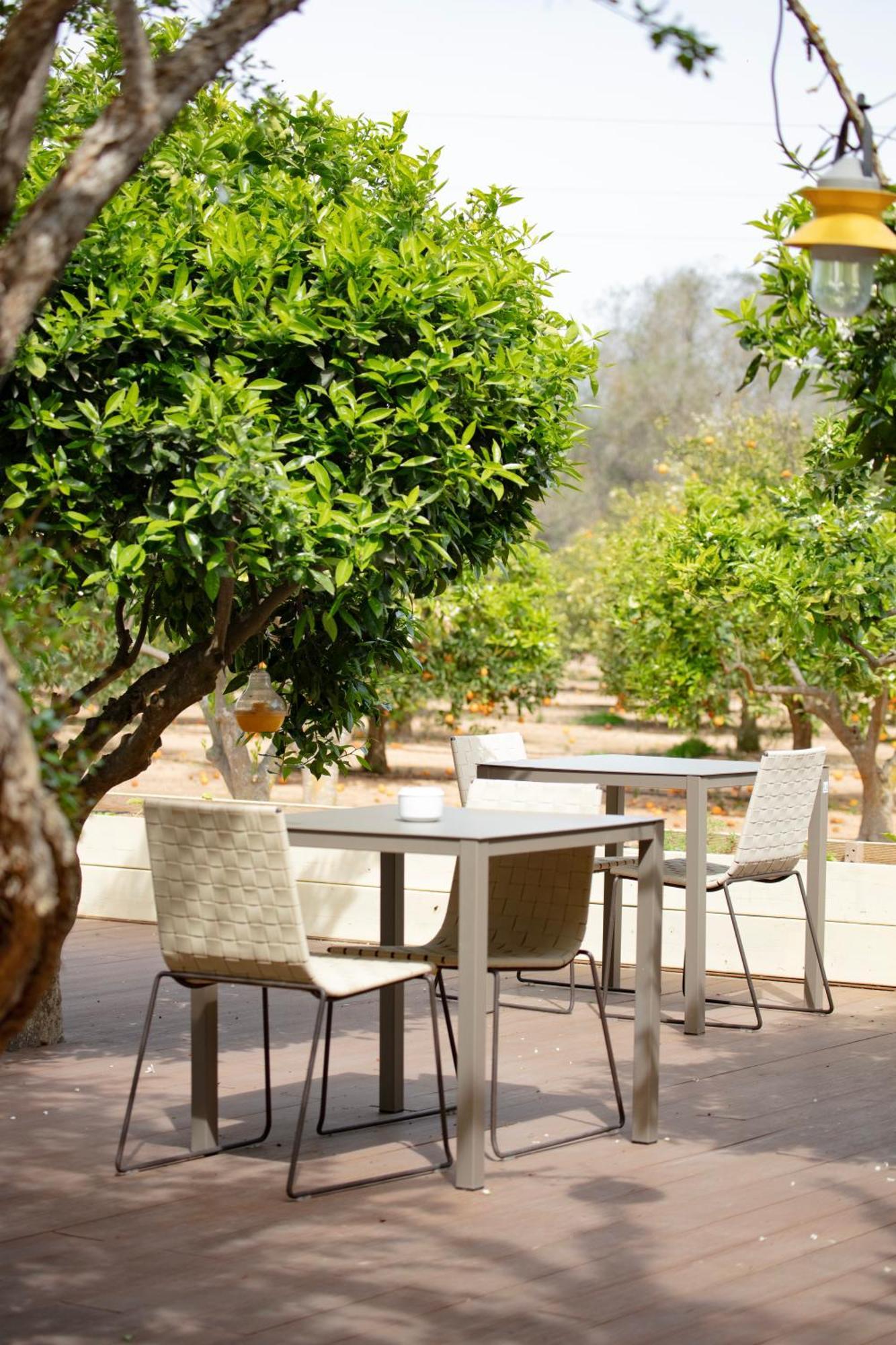 Can Jaume By Ocean Drive Puig D'en Valls Exterior foto