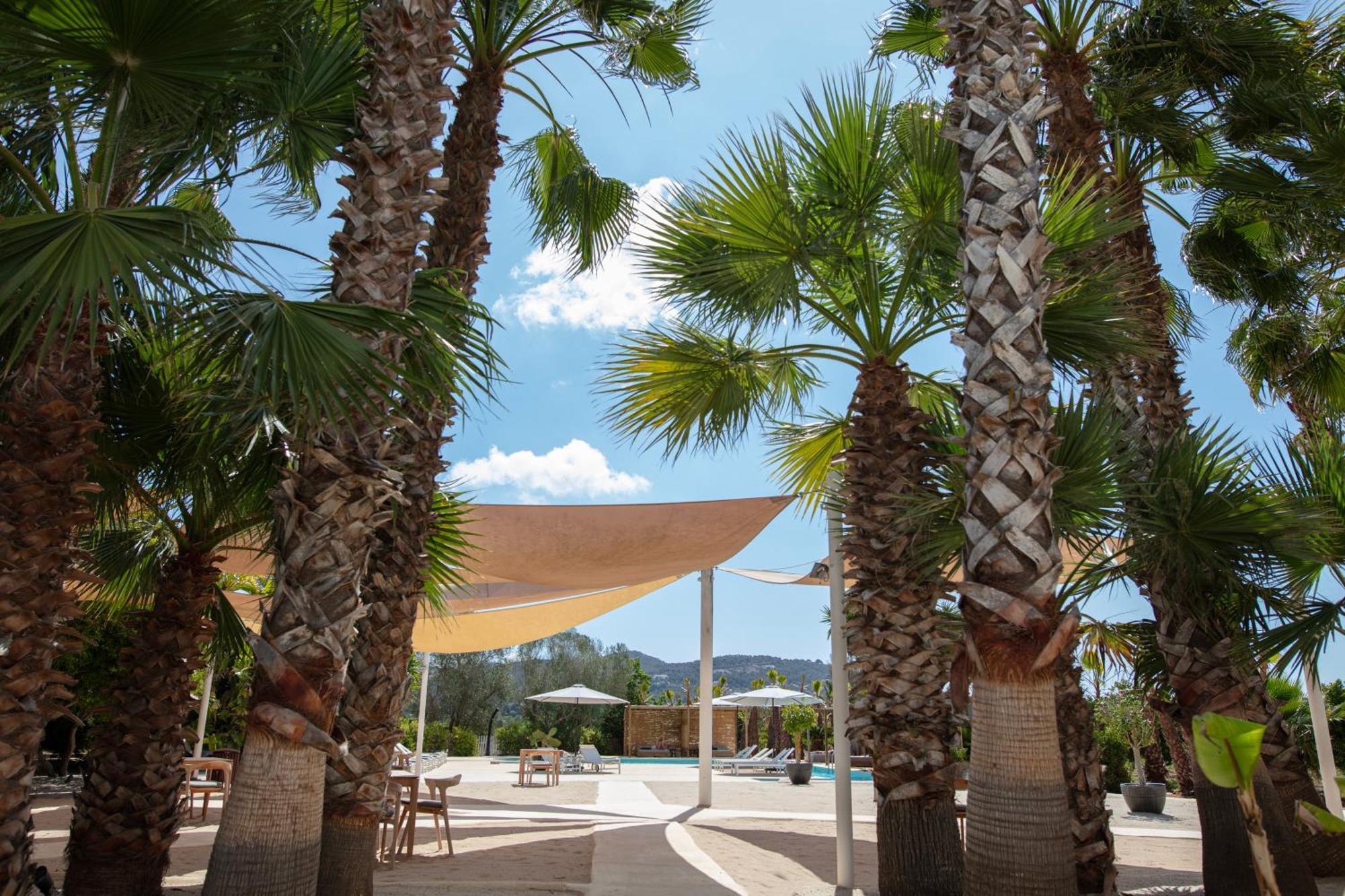 Can Jaume By Ocean Drive Puig D'en Valls Exterior foto
